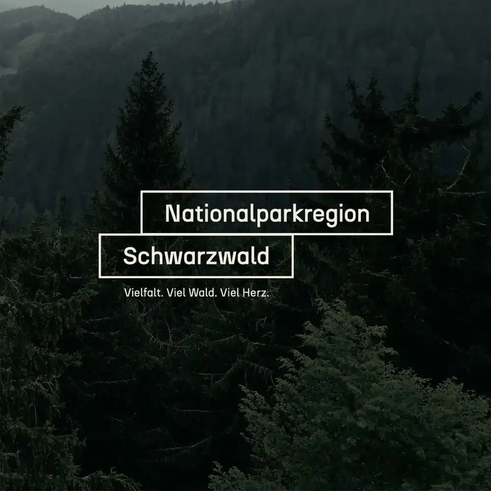 Projektpreview des Case Nationalparkregion Schwarzwald. Zu sehen: neues Logo auf dunklem Waldmotiv.